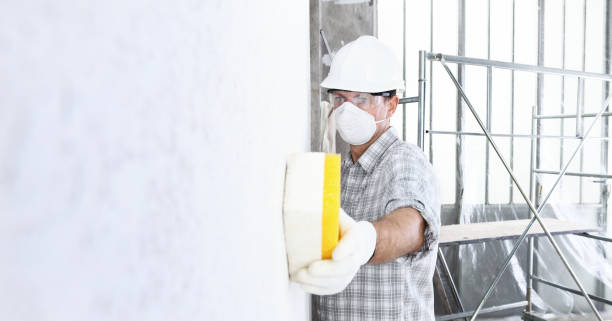 Talladega, AL Mold Removal Services Company